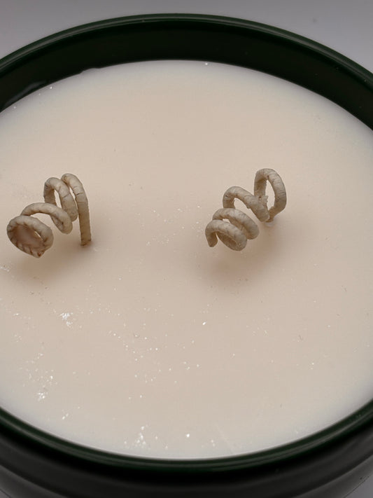 mountain pine soy wax candle in decorative holiday container